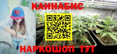 мяу мяу мука Краснознаменск