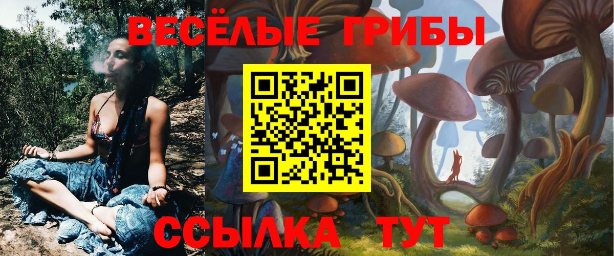 сколько стоит  Вход с VPN  Гусиноозёрск  Псилоцибиновые грибы MAGIC MUSHROOMS 