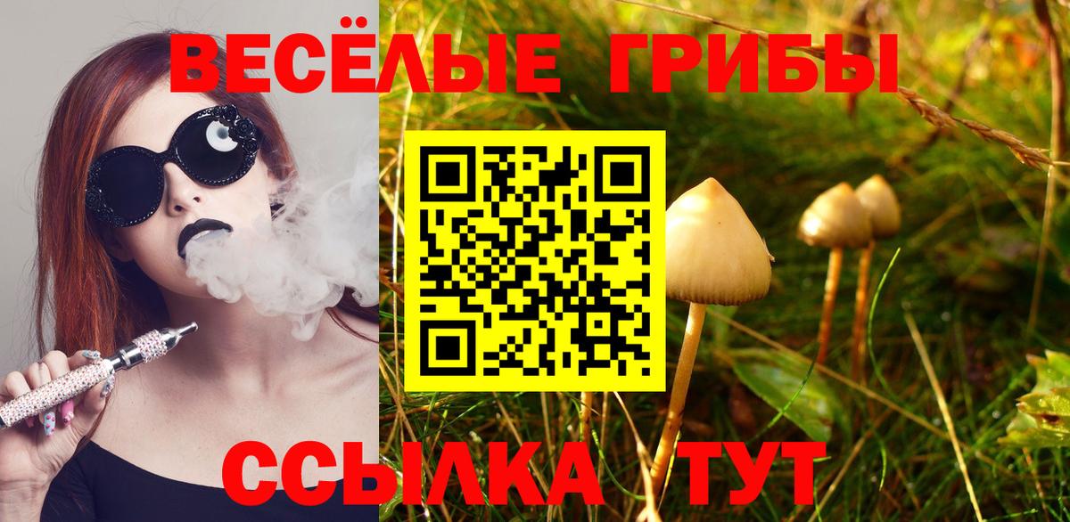 Галлюциногенные грибы MAGIC MUSHROOMS Гусиноозёрск