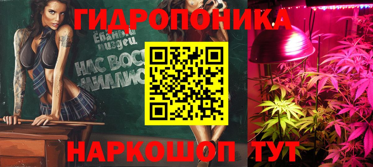 Конопля White Widow Гусиноозёрск